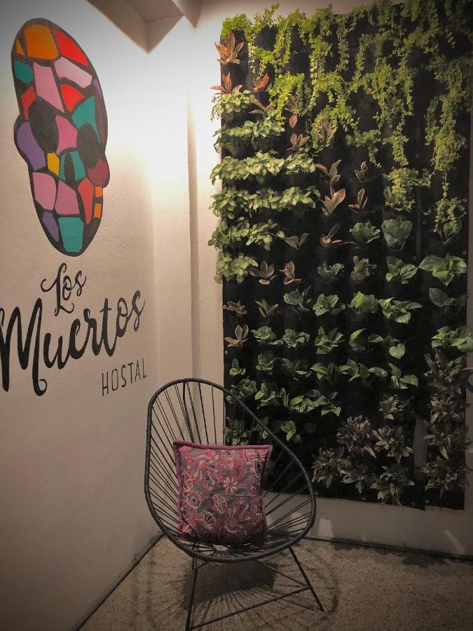 Los Muertos Hostal Пуерто Валярта Екстериор снимка