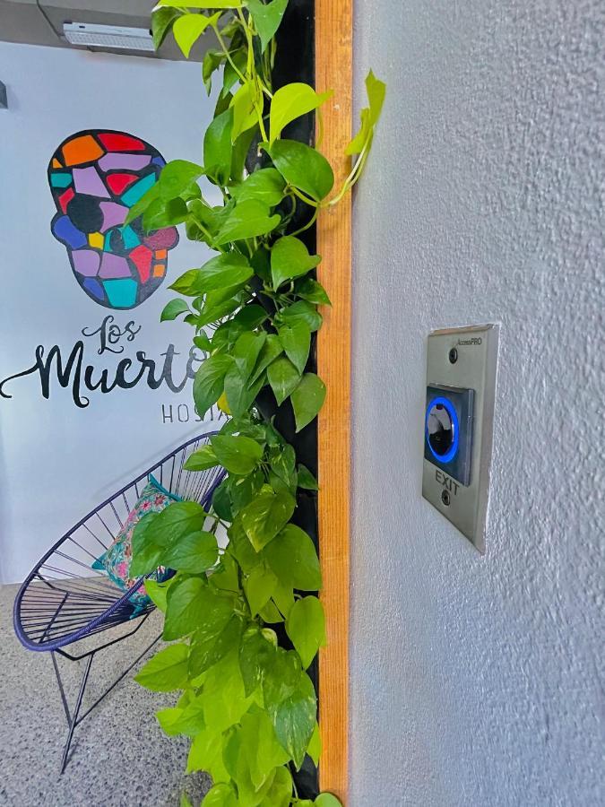 Los Muertos Hostal Пуерто Валярта Екстериор снимка